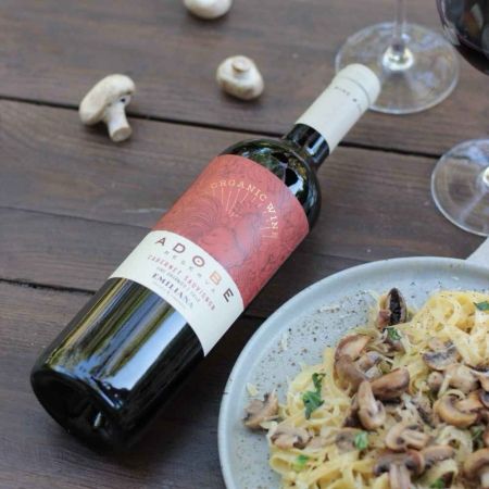 VINHO ADOBE CABERNET SAUVIGNON 375ML