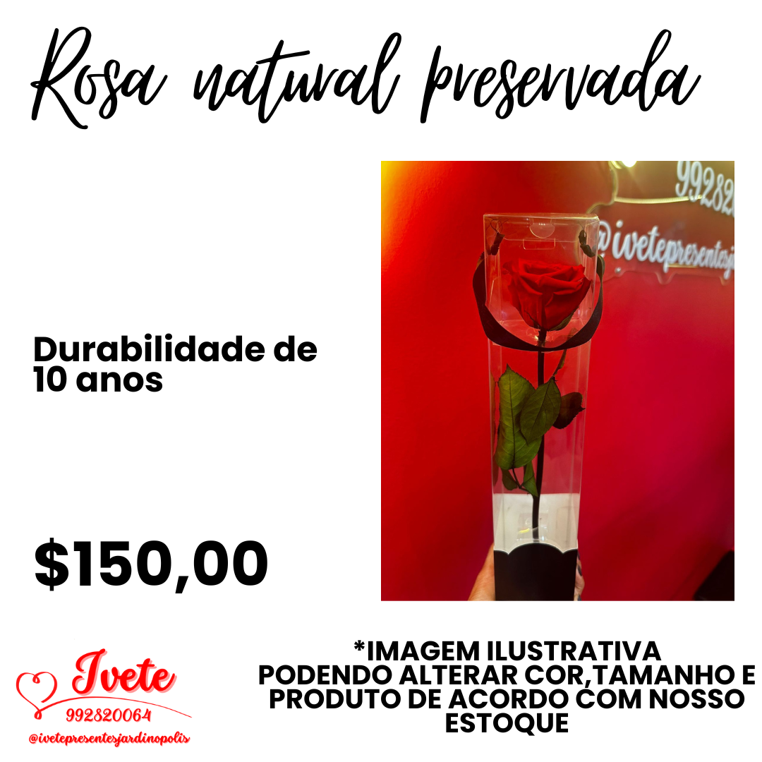 ROSA NATURAL PRESERVADA COMPLETA CAIXA
